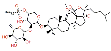 Echinoside B 12-O-methyl ether